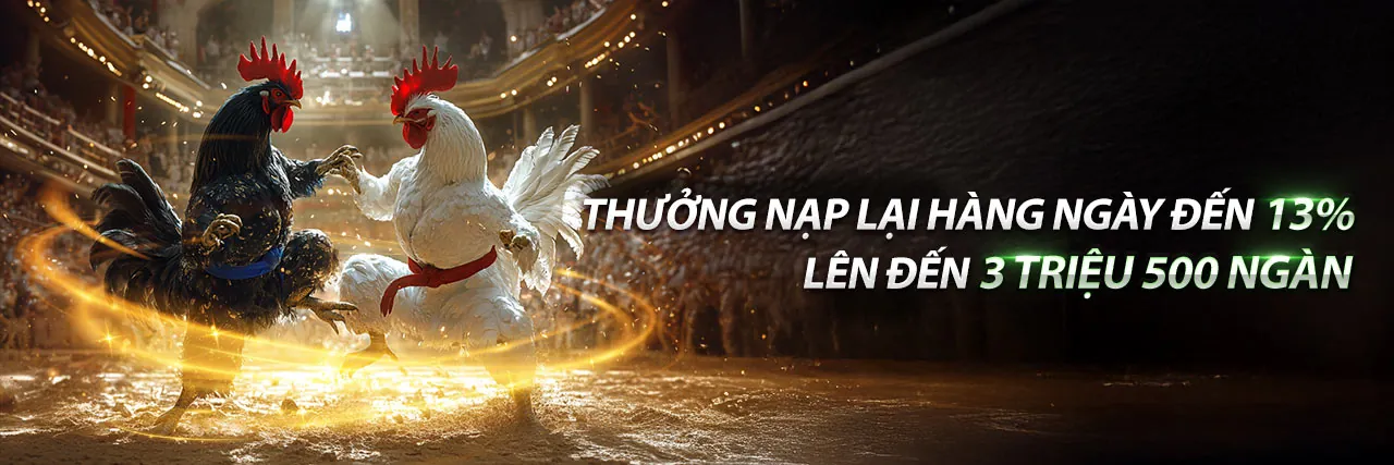 Sân đấu đá gà kịch tính tại 888hu